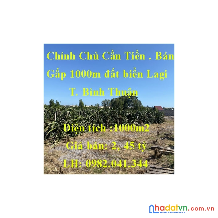 Chính chủ cần tiền - bán gấp 1000m đất biển lagi. cách đường hùng vương, cách biển 1km