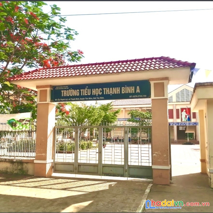 Bán nhanh miếng đất thạnh bình tân biên giá 490tr tổng diện tích