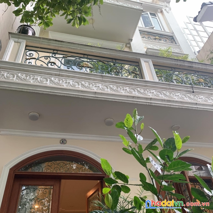 Nhà cho người đẳng cấp - cực sang chảnh - hồ biểu chánh - phú nhuận