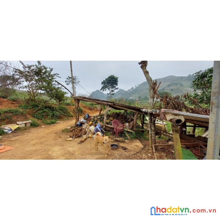 Bán đất mộc châu, vị trí đắc địa, giá rẻ nhất khu vực.