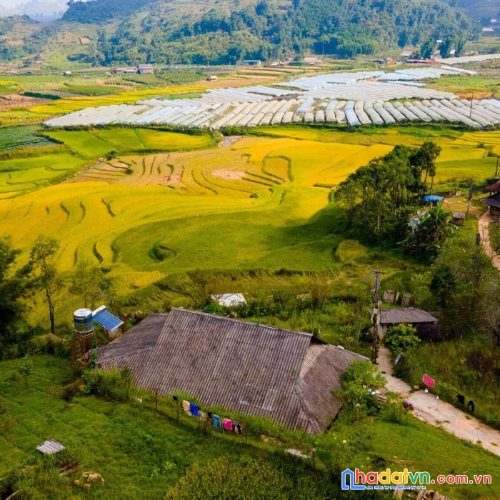 Bán đất sapa - view ruộng bậc thang giá rẻ phù hợp làm homestay đón khách du lịch