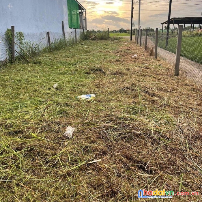 Cần bán đất full thổ cư, 2 mặt tiền vị trí đẹp ở khu vực tỉnh long an.