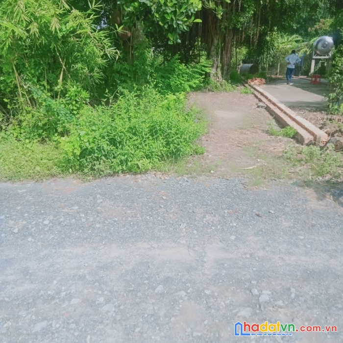 Chính chủ cần bán đất tại ấp tân hoà – xã đức lập hạ – huyện đức hoà – tỉnh long an