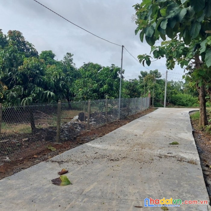 Chính chủ cần bán đất vị trí đẹp tỉnh đồng nai.