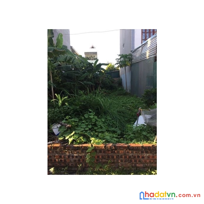 Bán đất mặt tiền 5,8m cổ linh long biên ngõ thông ô tô 72m2