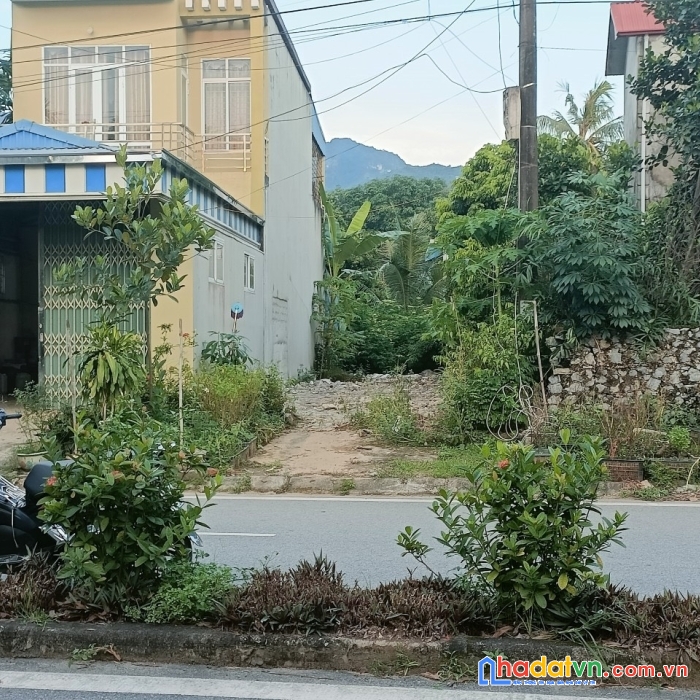 Bán đất tại phú nghĩa ,lạc thuỷ .hoà bình