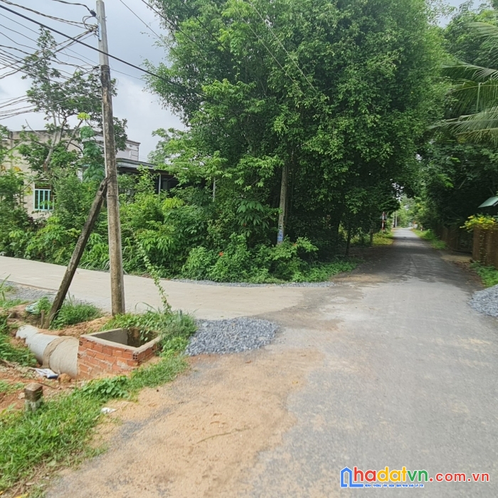 Đất chính chủ gò dầu hiệp thạnh