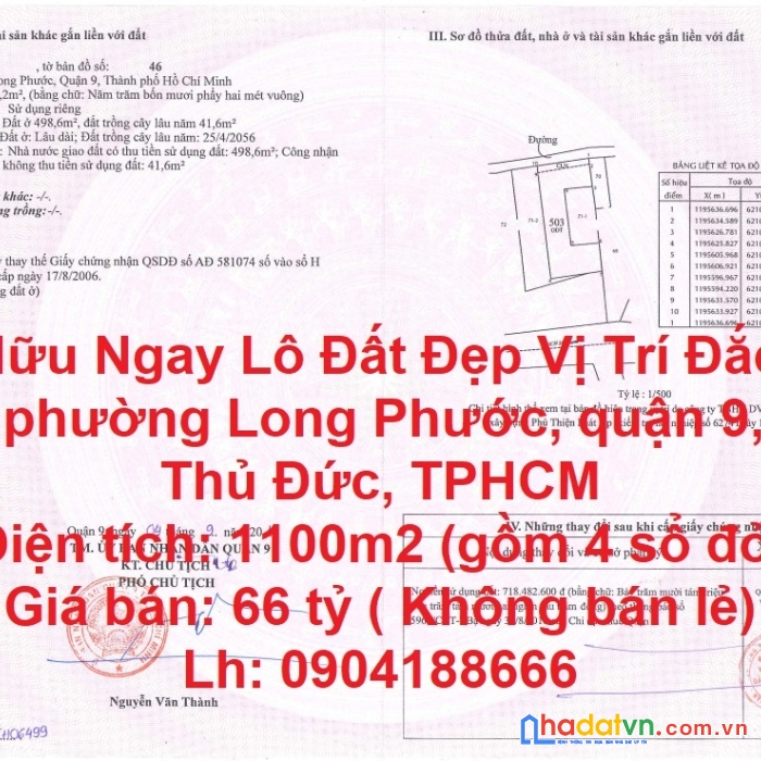 Sở hữu ngay lô đất đẹp vị trí đắc địa tại tp thủ đức, tphcm
