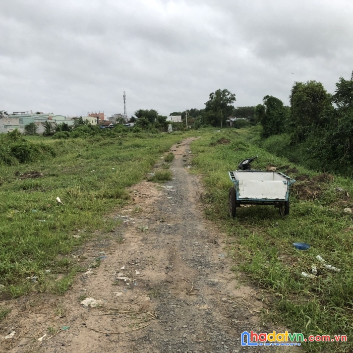 Đất hóc môn rẻ hơn củ chi mt kênh trung ương 10200m2 chỉ 30 ty