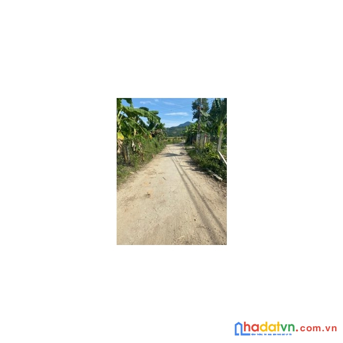 Chính chủ cần bán đất tại thôn hạ – xã diên lâm – huyện diên khánh – tỉnh khánh hoà
