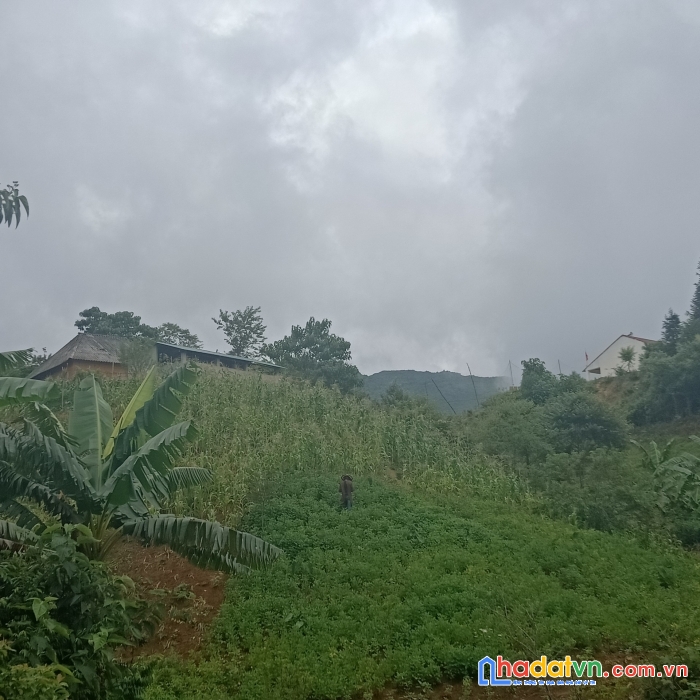 Bán mảnh đất view đẹp như em ngọc trinh giá rẻ nhất khu vực y tý sapa2