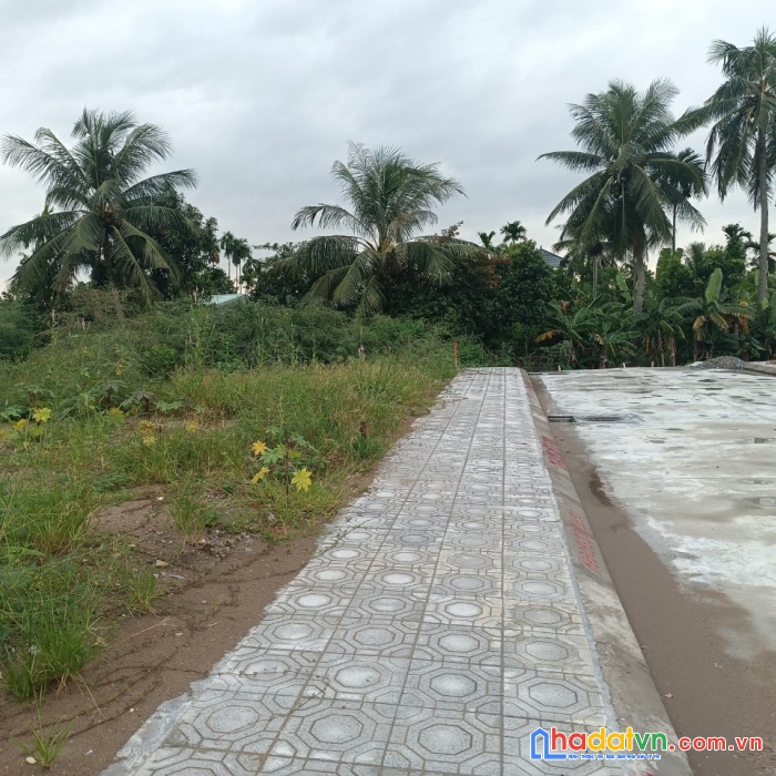 Hàng đầu tư tại vọng hải hưng đạo dương  kinh  hp  giá 1,xx tr.m