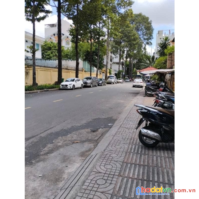 Sở hữu ngay ngôi biệt thự diện tích khủng vị trí cực đẹp đường hồ xuân hương, p. vts, quận 3.