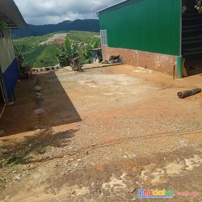 Chính chủ cần bán đất nền đường oto vị trí đẹp tại lâm đồng