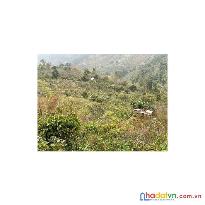 Cần bán đất cách đà lạt 20km view đẹp tại lâm đồng