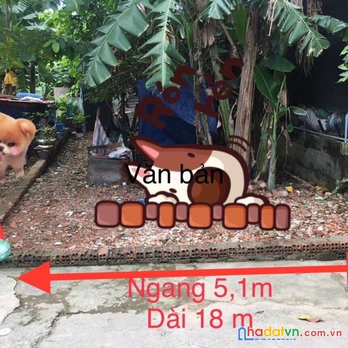 Cần bán đất vị trí đẹp tại tp thủ đức