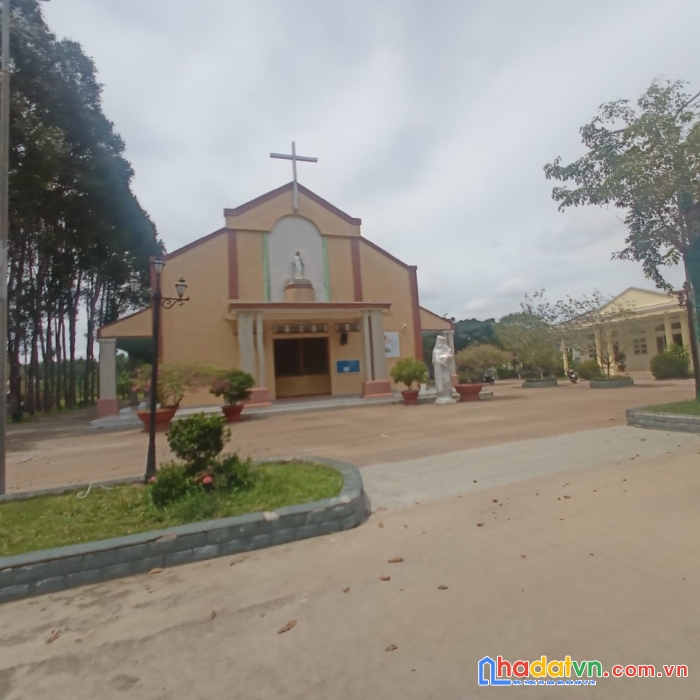 Chính chủ cần bán đất tại : ấp thủ chánh – xã thành tâm – huyện chơn thành – tỉnh bình phước