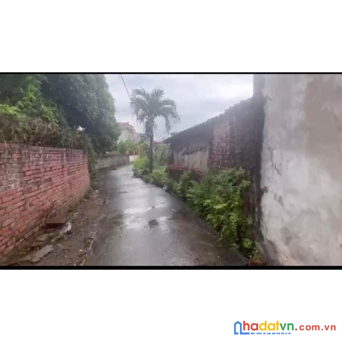 Cần bán lô đất trừng xá, lương tài, bắc ninh, giá công khai 450tr