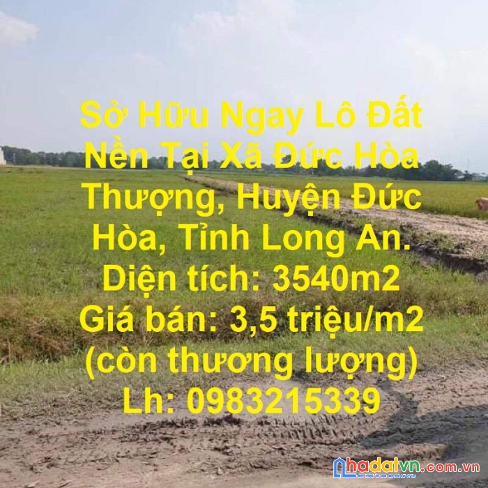 Sở hữu ngay lô đất nền tại xã đức hòa thượng, huyện đức hòa, tỉnh long an.