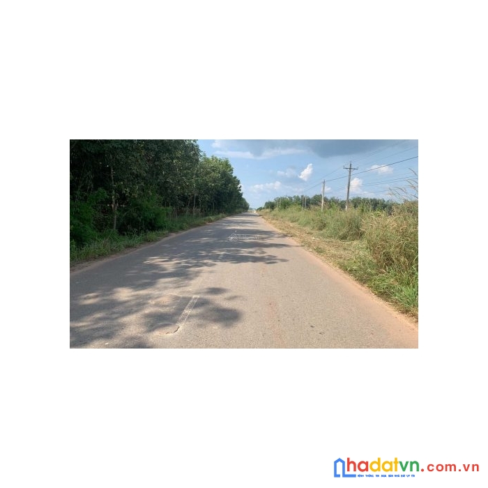 Đầu tư bình phước với 3xx triệu/100% giá - đường 18m. công chứng luôn