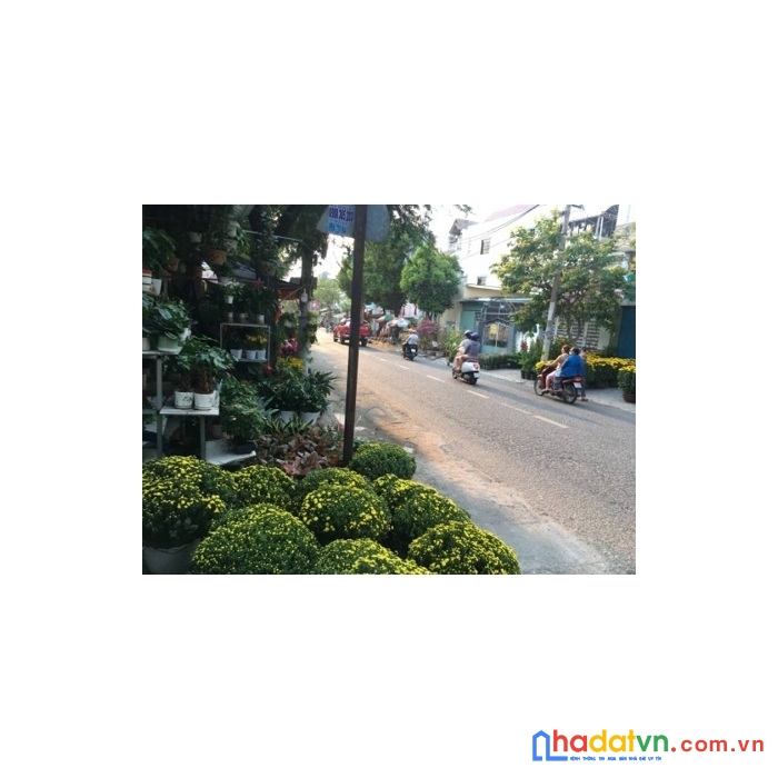 Cần bán đất mặt tiền đường gò dưa