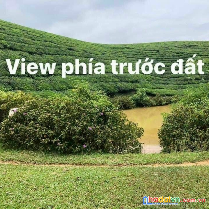 Bán đất 9000m2 view hồ tân sơn, phú thọ giá nhỉnh 400tr.