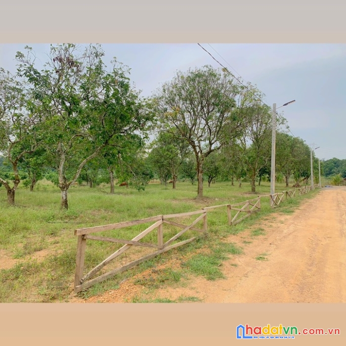 Chính chủ cần bán 1344m2 đất view hồ trị an 