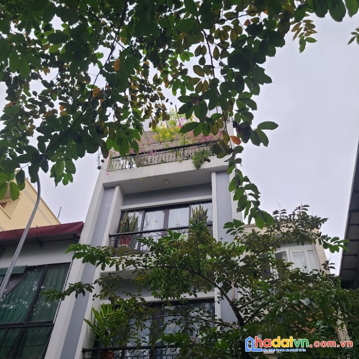 Bán nhà số mặt phố nguyễn thái học, ba đình, 30m2, 5 tầng, giá 7.75 tỷ, tl