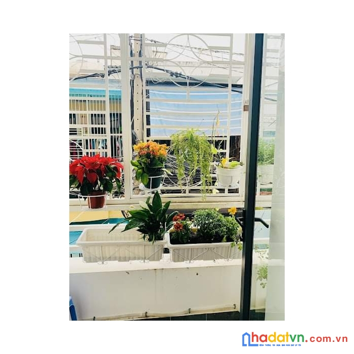 Gần sân bay tân sơn nhất - nhà đẹp lung linh - nở hậu - chỉ nhỉnh 4 tỷ