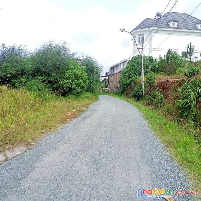 Bán đất biệt thự 2 mặt tiền view đồi đà lạt hạ 3 tỷ