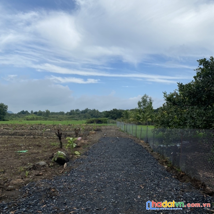 Chính chủ bán đất vị trí đẹp tại định quán, đồng nai