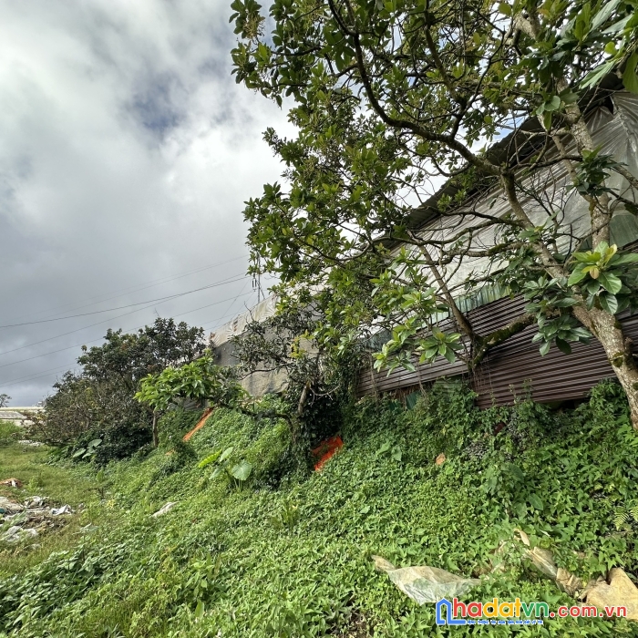 Cần bán đất vị trí đẹp tại tỉnh lâm đồng thành phố đà lạt