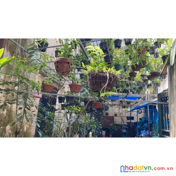 Bán nhà siêu hot trung tâm tây hồ nhà 45m2 chỉ 3 tỷ 6