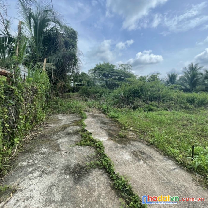 Đất nền mỹ phong mỹ tho gần chợ gò cát 590 triệu