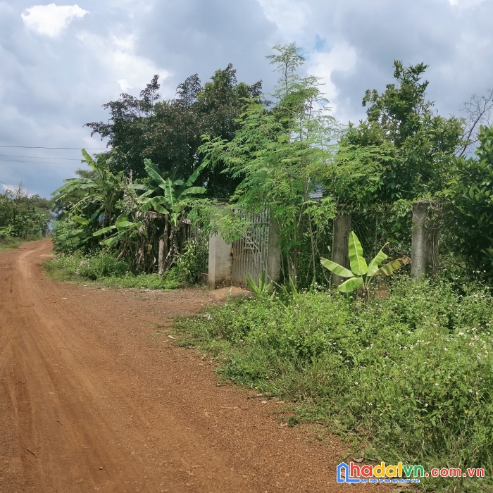 Chủ kẹt tiền bán gấp đất thổ cư dt 250m2 , mt 18m nằm ngay trung tâm xã