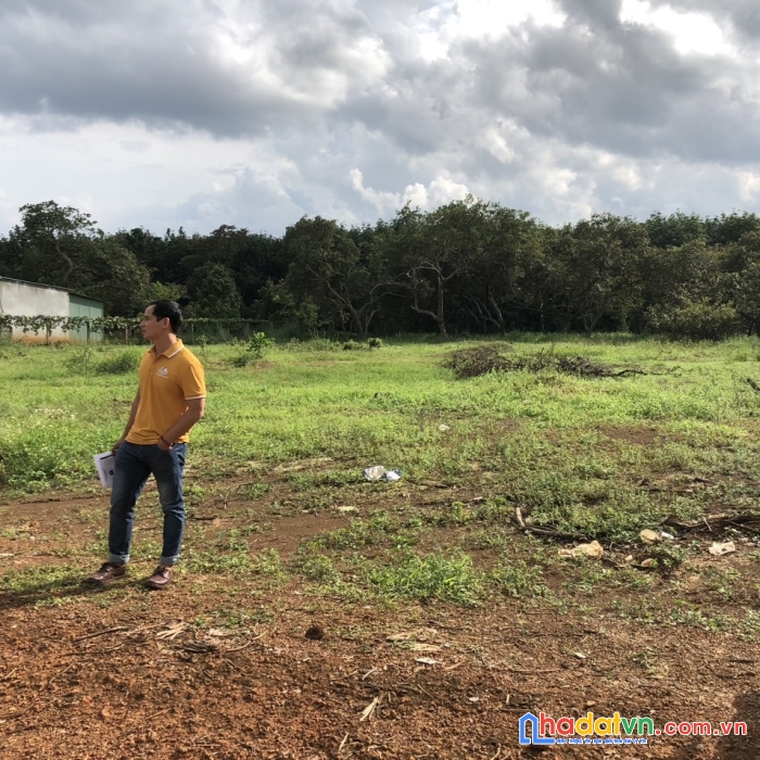 Chính chủ bán gấp đất thổ cư nằm ngay trung tâm xã dt 250m2 , mt18m