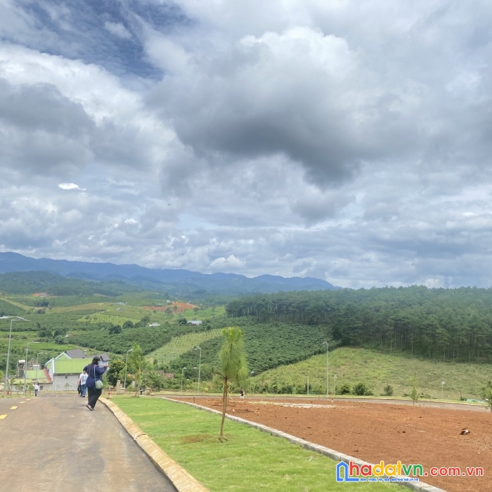 Đất nền b'lá view đôi chè, đồi thông, thung lũng. diện tích 10x15, 10x20, 10x…. full thổ cư, ck