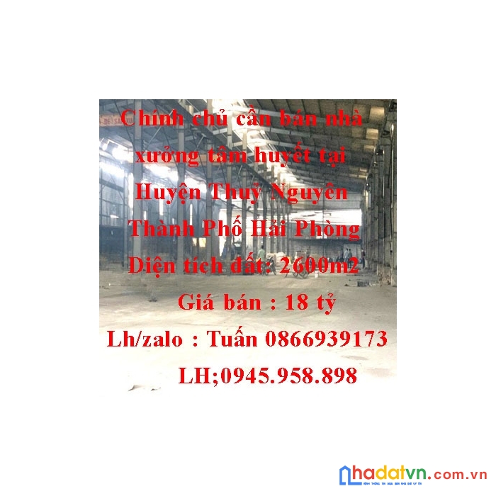Chính chủ cần bán nhà xưởng tâm huyết tại huyện thuỷ nguyên ,thành phố hải phòng