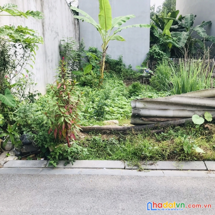 Bán nhanh 55m đất tại khu tt z153 đường thông ô tô đỗ giá đẹp