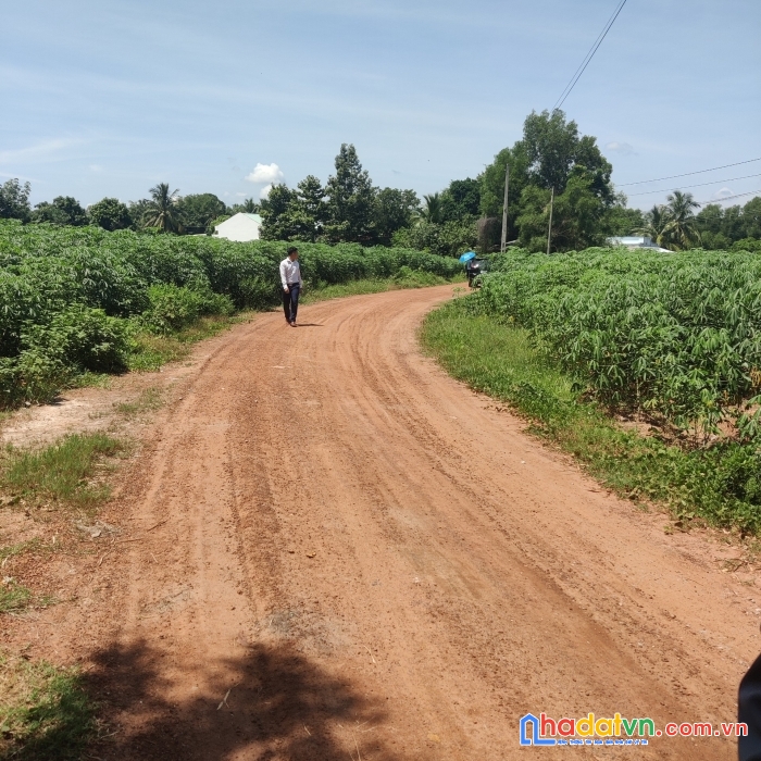  bán đất chính chủ tại phước vinh – châu thành