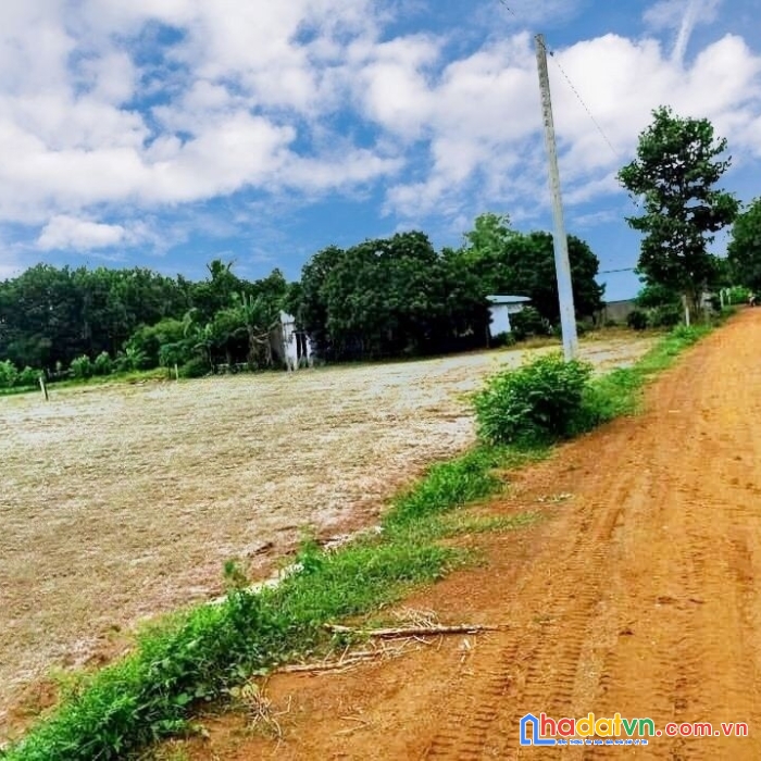 Bán đất châu thành tây ninh giá 520tr