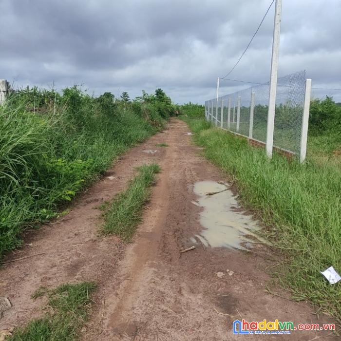 Chủ ngộp bán nhanh lô đất 2 mặt tiền thạnh tân.cạnh kdl núi bà đen, đối diện sân golf. 