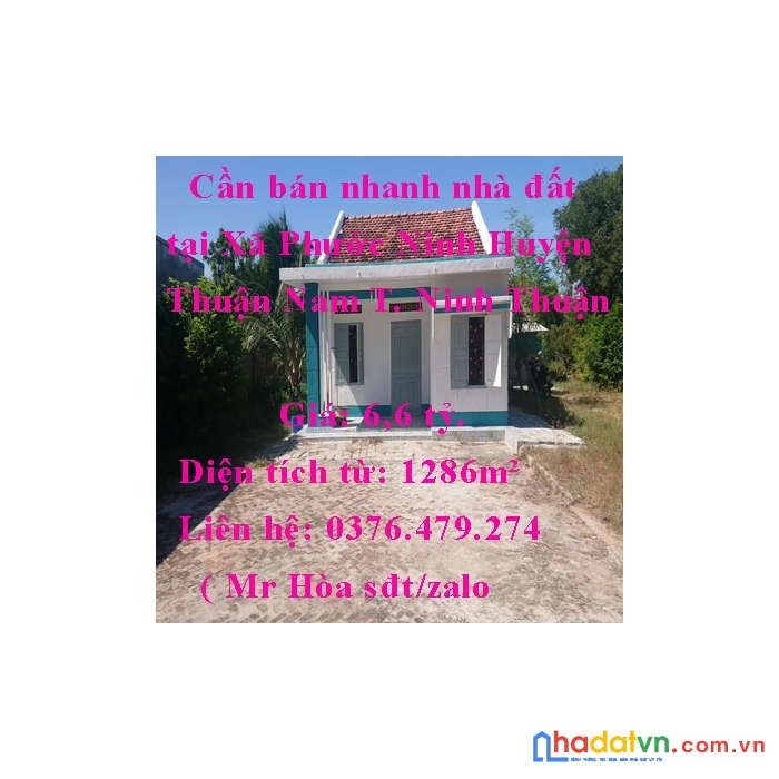 Hot đất đẹp giá rẻ đầu tư sinh lời cao xã phước ninh, thuận nam, ninh thuận