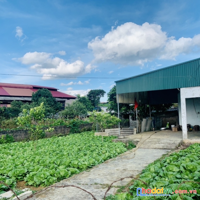 Cần bán trung tâm quy hoạch lõi mộc châu 570m2