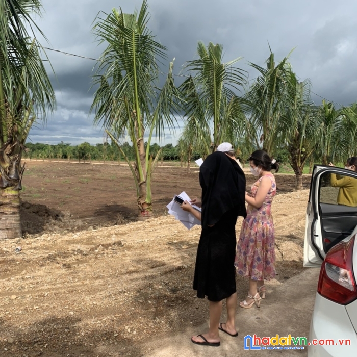 Đất vườn sinh thái cẩm mỹ, liền kề sân bay long thành, sổ đỏ