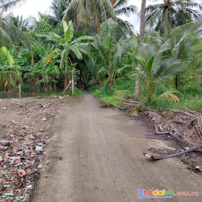 Chính chủ cần bán nhà và đất vị trí đẹp tại tiền giang