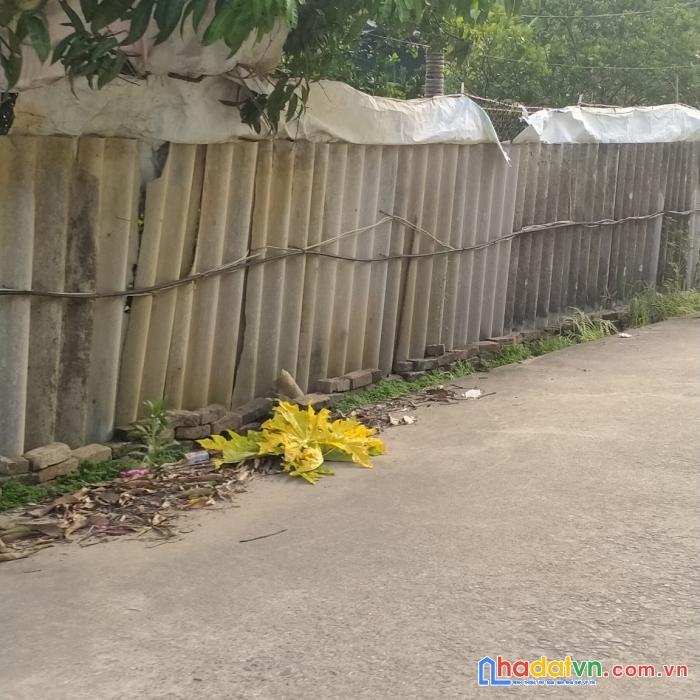 Bán đất tiên dương, đông anh, ô tô, kinh doanh, đầu tư