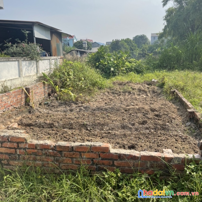 Chính chủ cần bán đất gần đường vành đai 4,