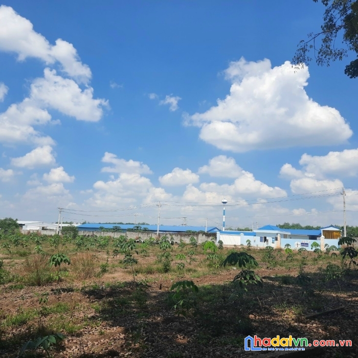 Chính chủ cần đất mặt đường vị trí đẹp tại tỉnh bình phước