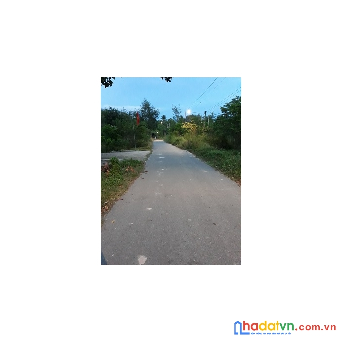 [cực hót] bán đất mặt tiền đường nhựa thanh tuyền - dầu tiếng - bình dương.
